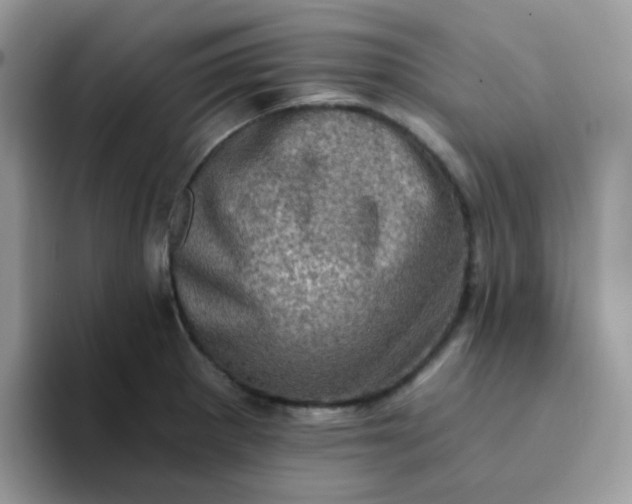 X0000094211281200711091231