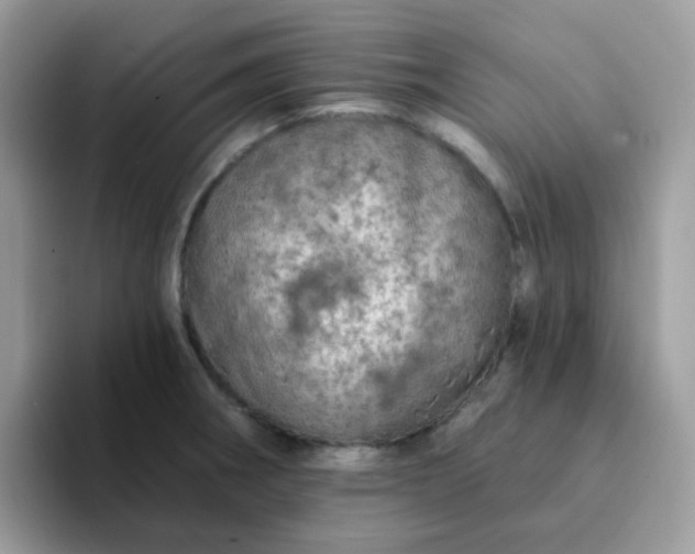 X0000094211282200711091231
