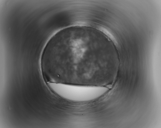 X0000094211283200711091231