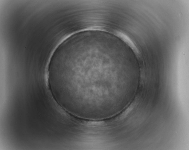 X0000094211284200711091231