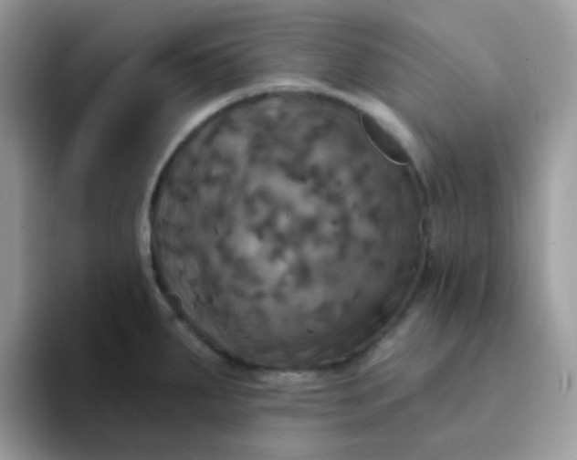 X0000094211287200711091230