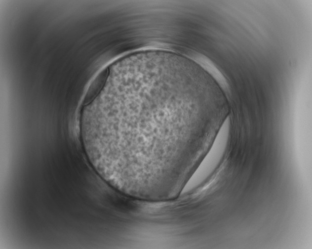X0000094211292200711091230
