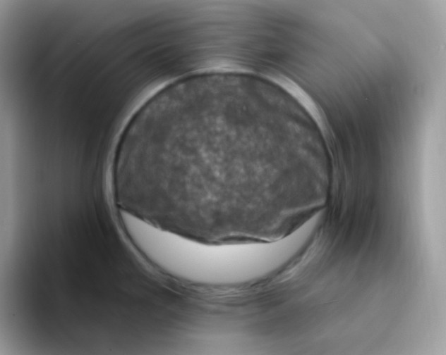 X0000094211293200711091230