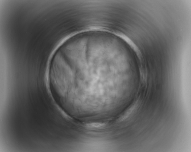 X0000094211294200711091230