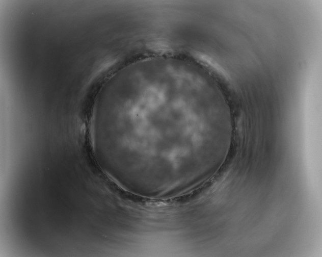 X0000094211302200711091230