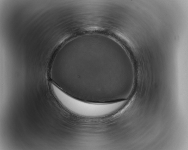 X0000094211305200711091230