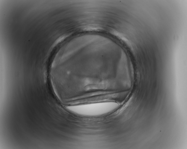 X0000094211306200711091230
