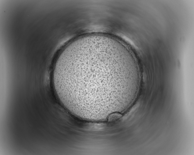 X0000094211309200711091230