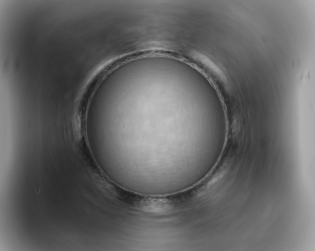 X0000094211310200711091230
