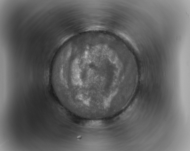 X0000094211313200711091230