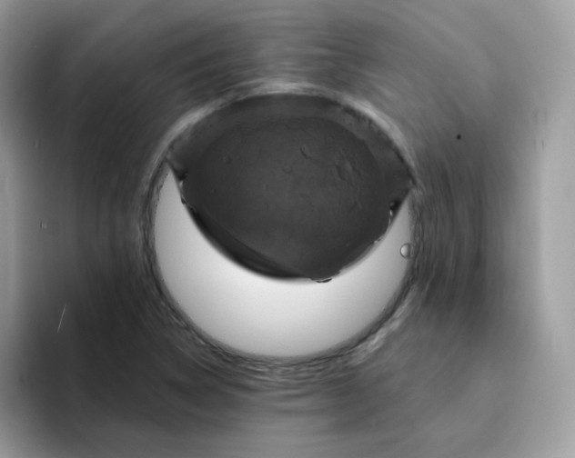 X0000094211314200711091230
