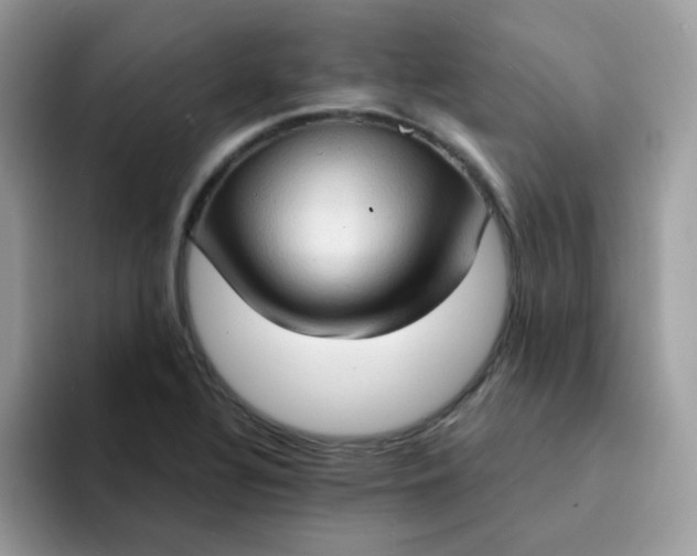 X0000094211320200711091230