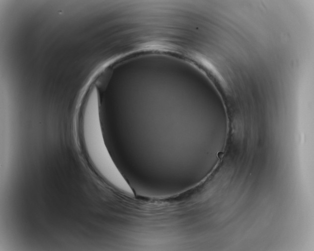 X0000094211323200711091230