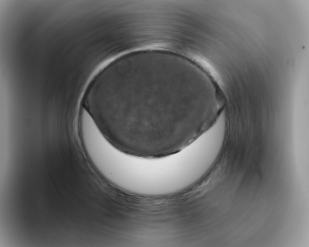 X0000094211324200711091230
