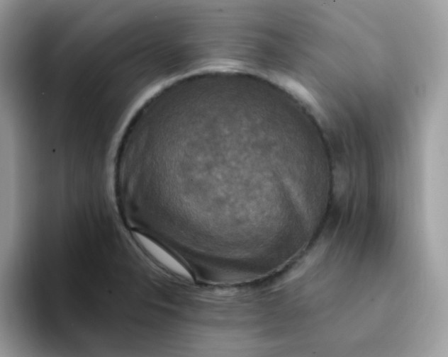 X0000094211326200711091230