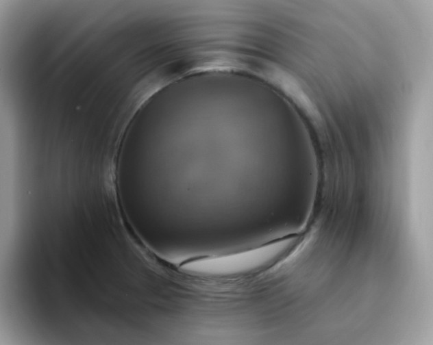 X0000094211329200711091230