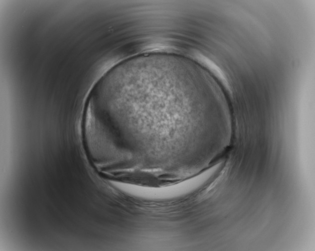 X0000094211330200711091230