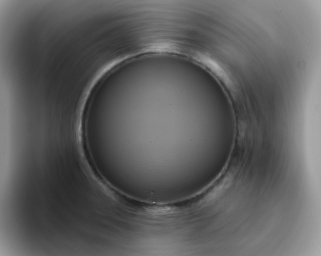 X0000094211331200711091230