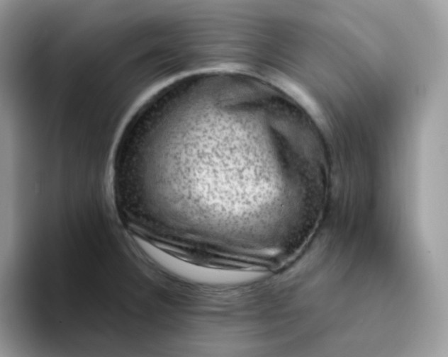 X0000094211332200711091230