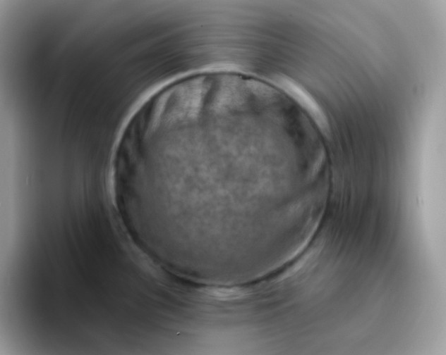 X0000094211340200711091230