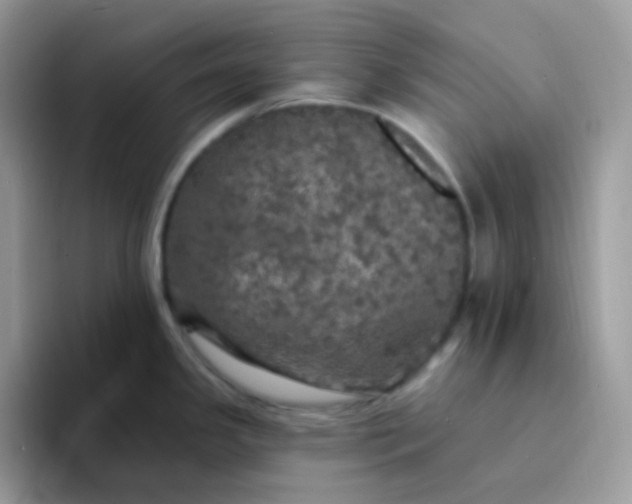 X0000094211341200711091230