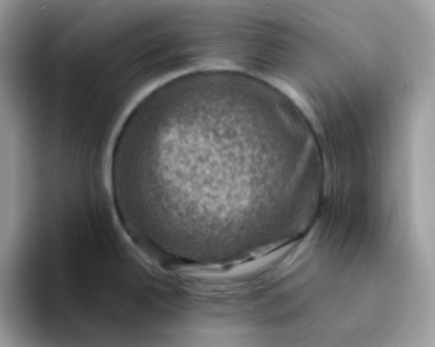 X0000094211342200711091230