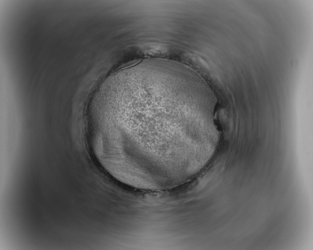 X0000094211345200711091230