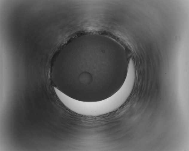 X0000094211348200711091230