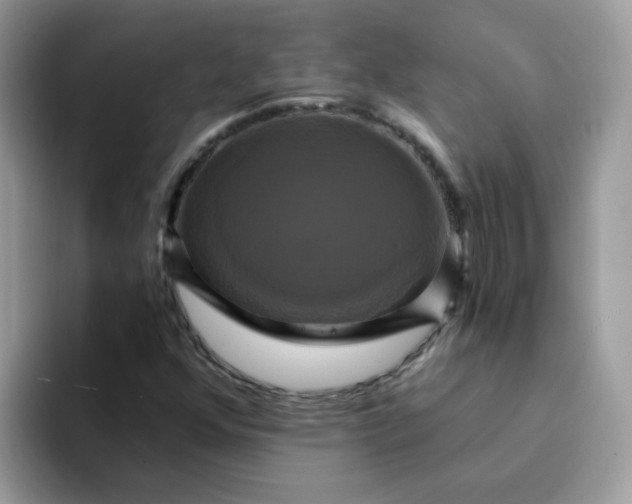 X0000094211352200711091230