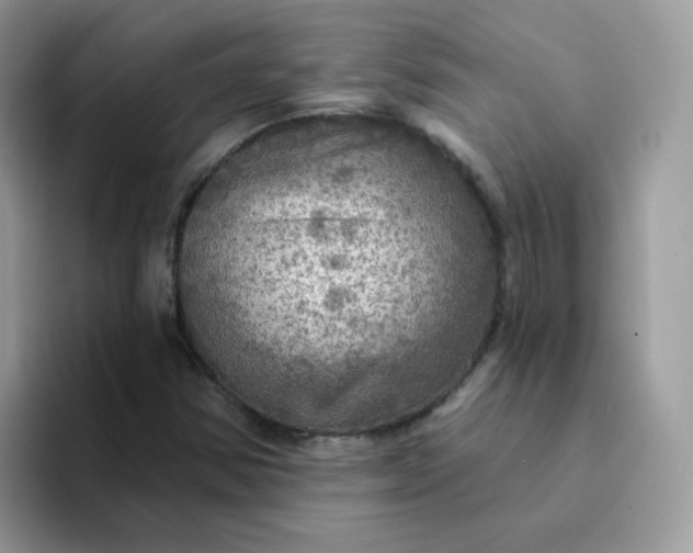 X0000094211354200711091230