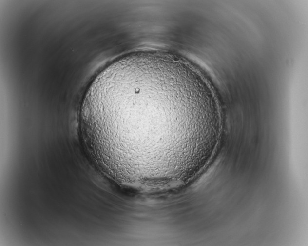 X0000094211355200711091230