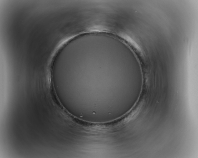 X0000094211358200711091230