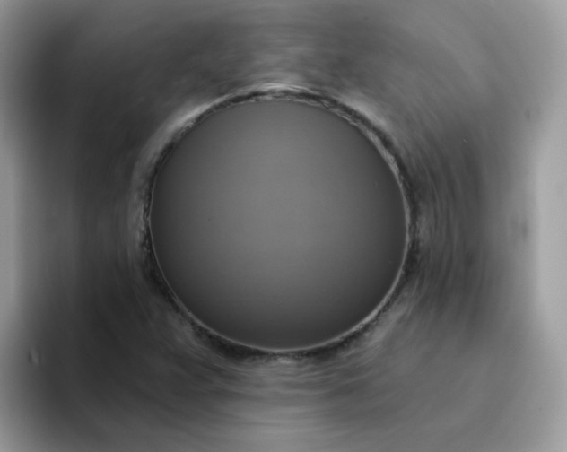 X0000094211359200711091230