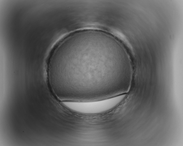 X0000094211360200711091230