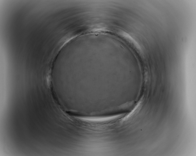 X0000094211361200711091230