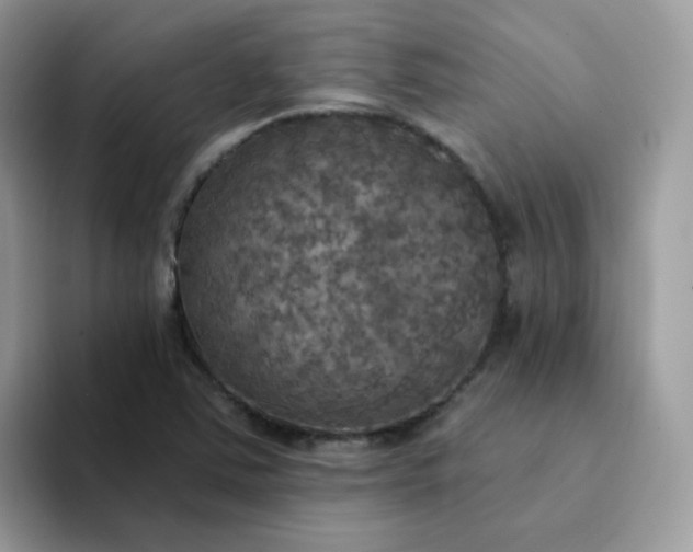 X0000094211363200711091230