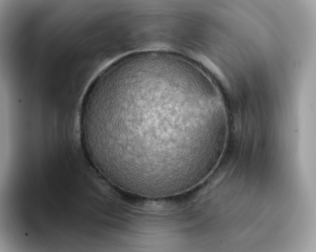 X0000094211364200711091230