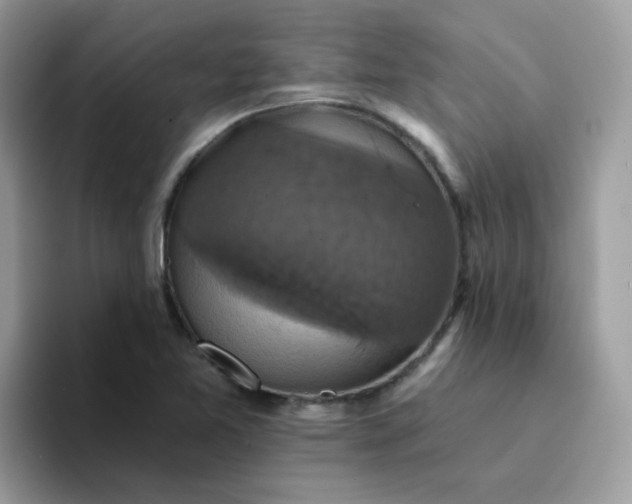 X0000094211365200711091230