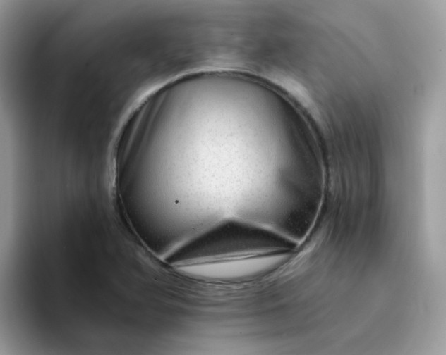 X0000094211366200711091230