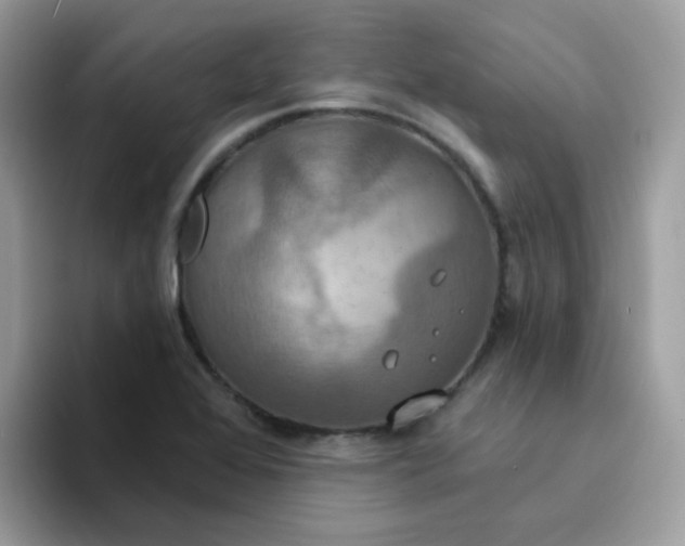 X0000094211368200711091230