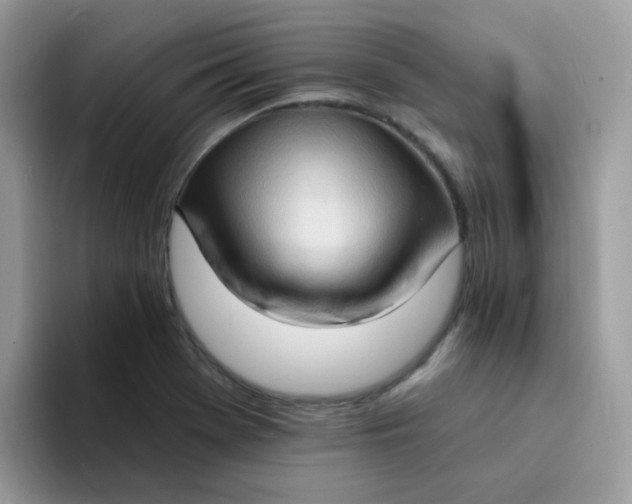 X0000094211369200711091230
