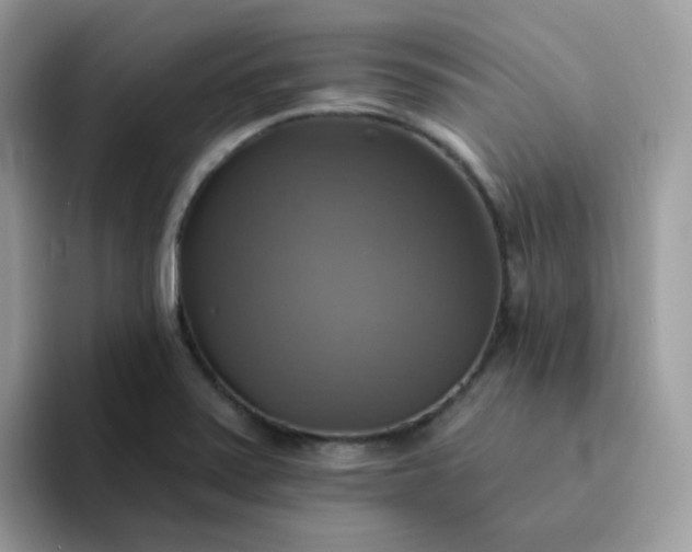 X0000094211371200711091229
