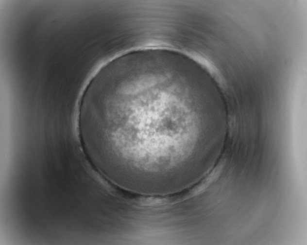 X0000094211374200711091229