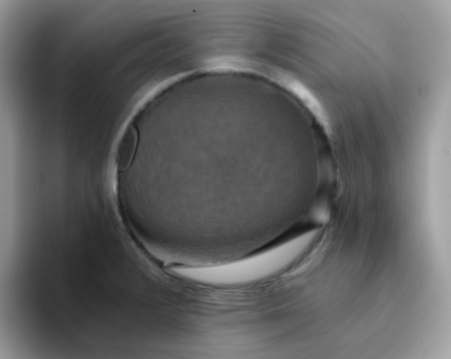 X0000094211376200711091229