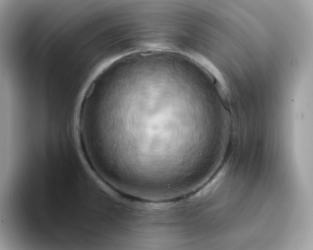 X0000094211381200711091229