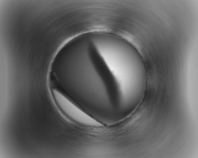 X0000094211383200711091229
