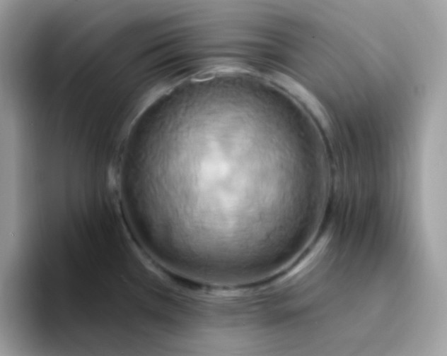 X0000094211385200711091229