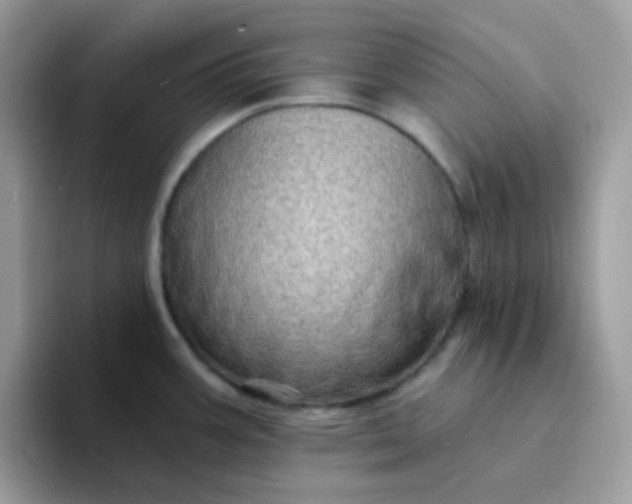 X0000094211387200711091229