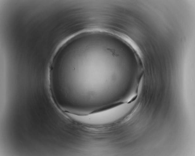 X0000094211388200711091229