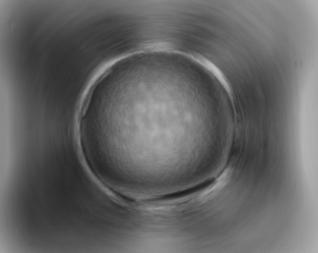 X0000094211389200711091229